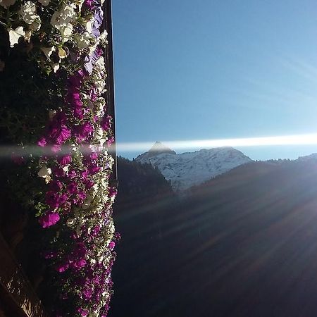 S' Ludwign Haus Διαμέρισμα Sankt Leonhard im Pitztal Εξωτερικό φωτογραφία