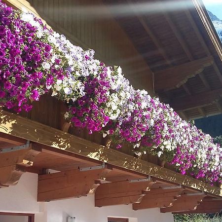 S' Ludwign Haus Διαμέρισμα Sankt Leonhard im Pitztal Εξωτερικό φωτογραφία