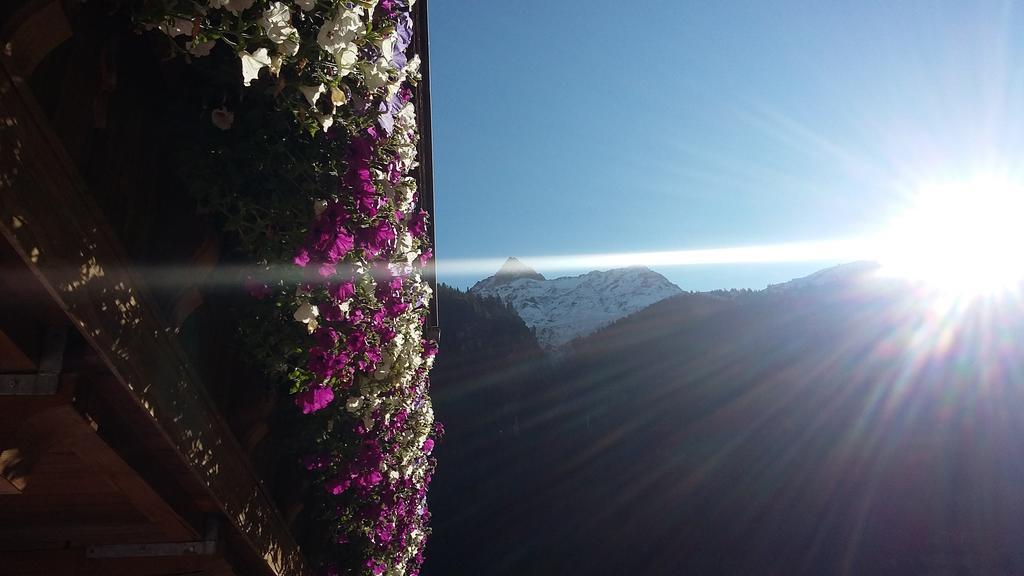 S' Ludwign Haus Διαμέρισμα Sankt Leonhard im Pitztal Εξωτερικό φωτογραφία
